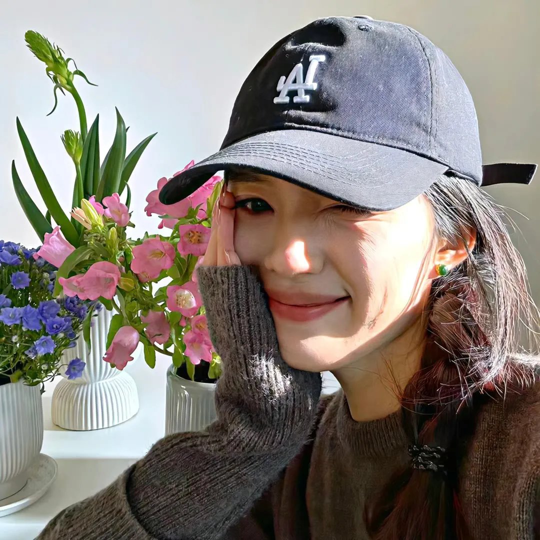 清风朗月花正开 封面